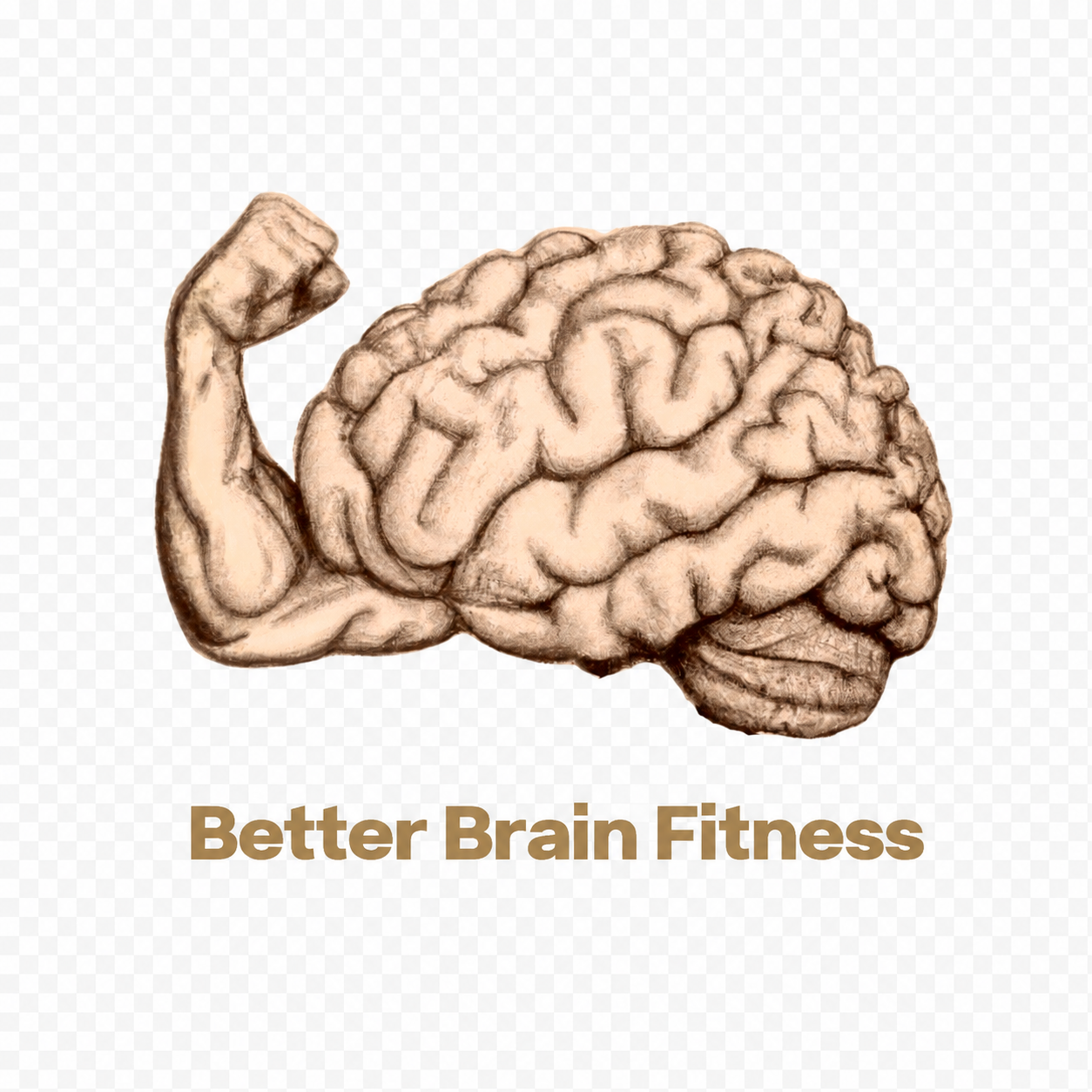 Better Brain Fitness